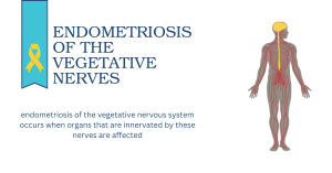 Read more about the article Endometriosis of the vegetative pelvic nerves